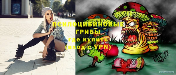 молекула духа Абинск