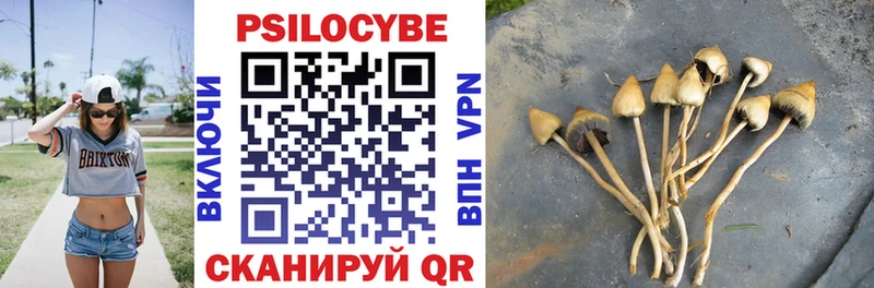 Псилоцибиновые грибы Psilocybe  Вытегра 